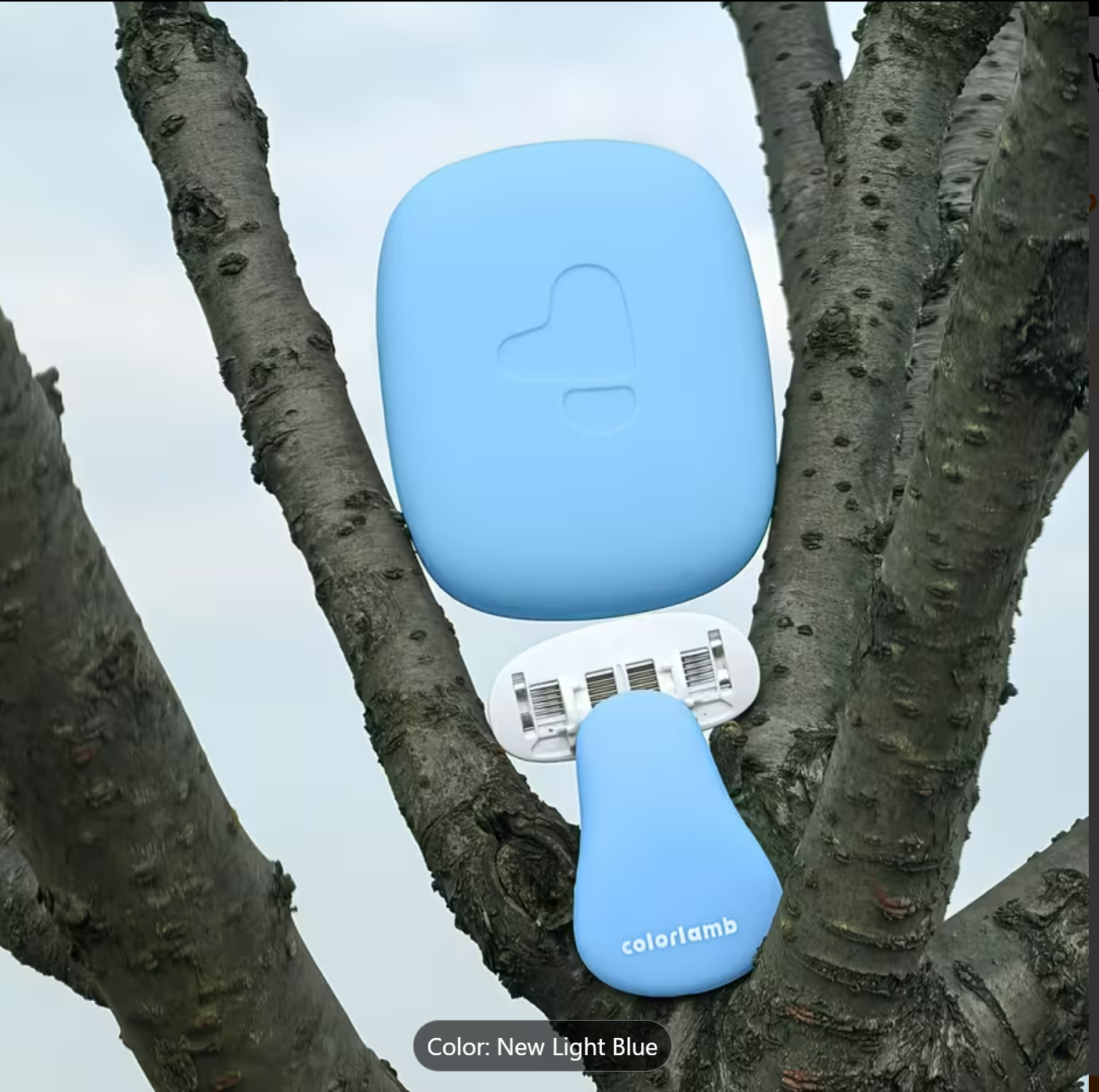 Selected Variant Image